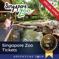 Singapore Zoo With Tram